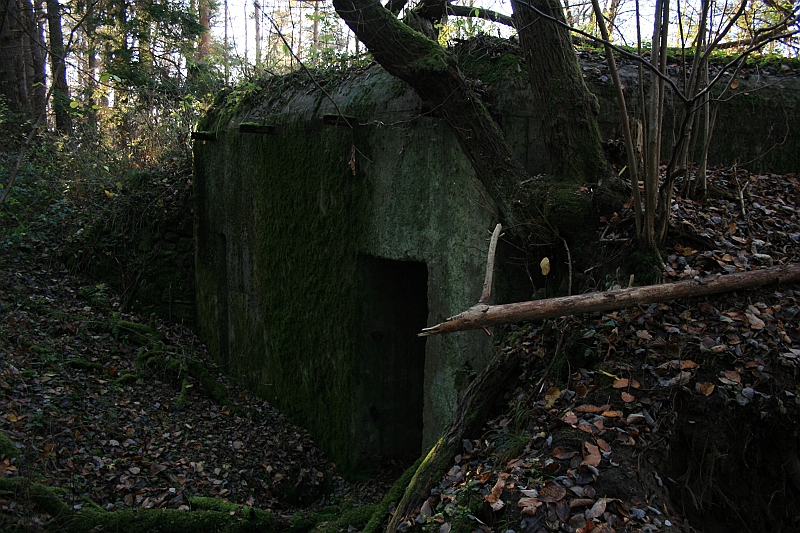 Rostoczek 11.2008 422